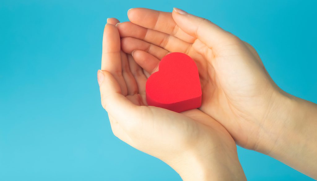 Heart in the hands of a female on a colored background. Donation, charity, health treatment, help concept. Background for Valentine's Day (February 14) and love.